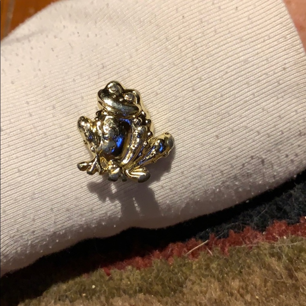 Frog đ¸ Brooch - Picture 2 of 4